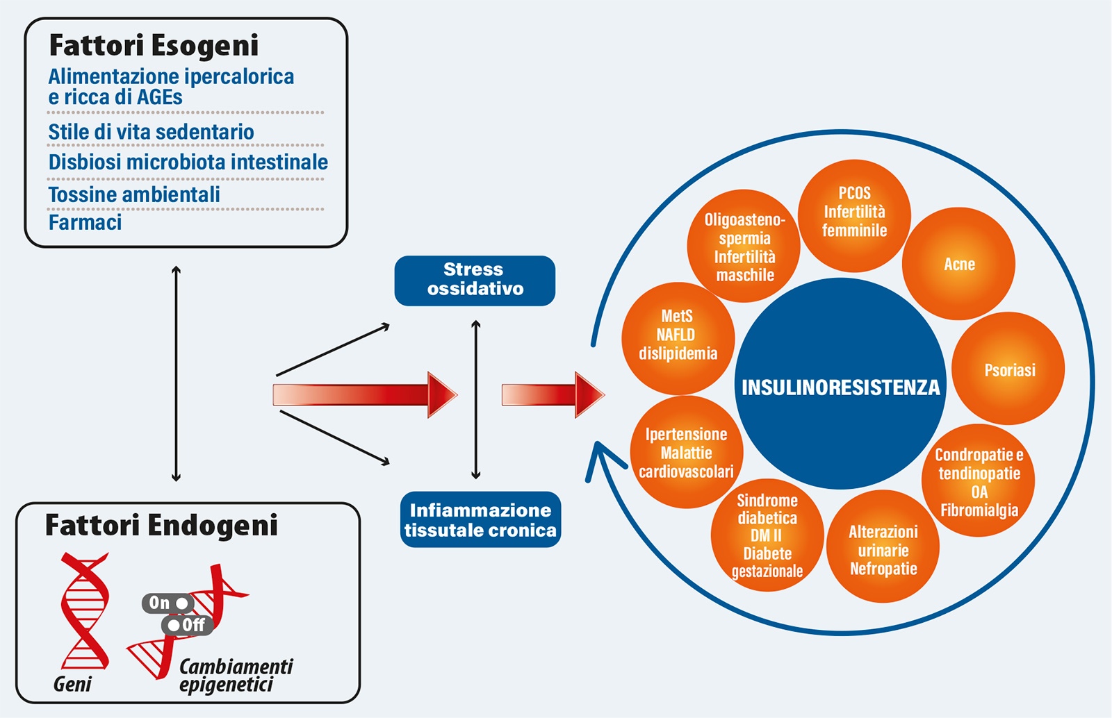 Le cause dell'insulinoresistenza - illustrazione 1